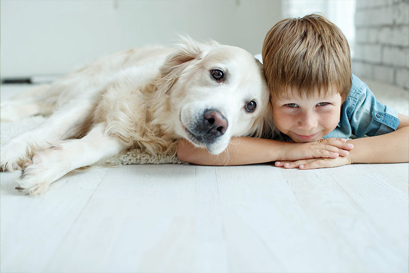 produits veterinaire